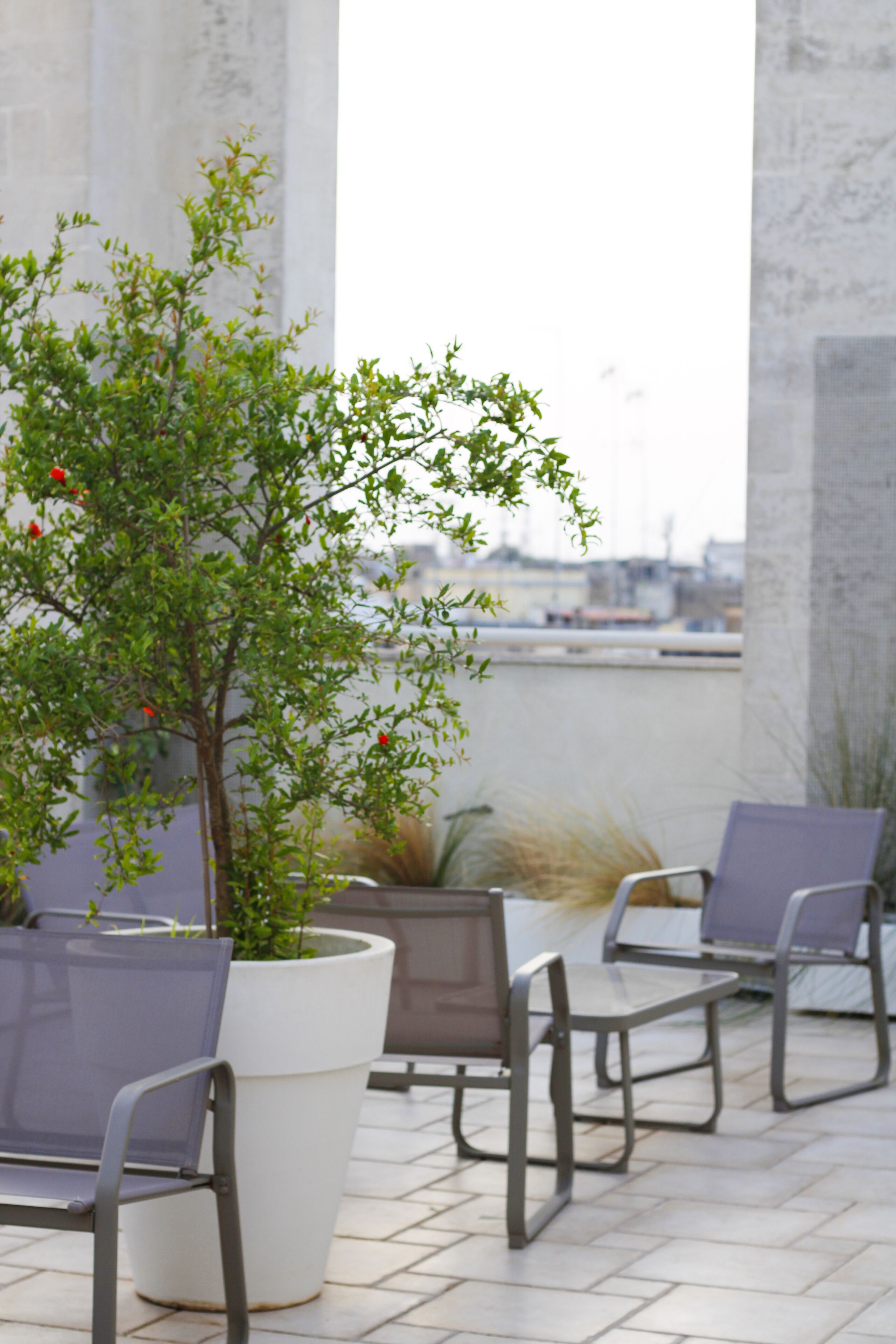 A terrace with outdoor seating and a potted plant.