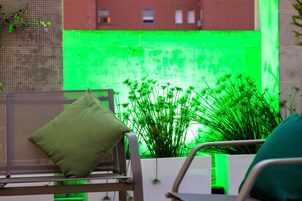Una silla con cojín, una planta y una pared verde al fondo.