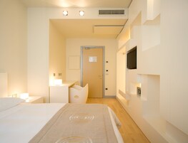 Habitación doble superior | Ropa de cama de alta calidad, edredones de plumas, minibar y caja fuerte