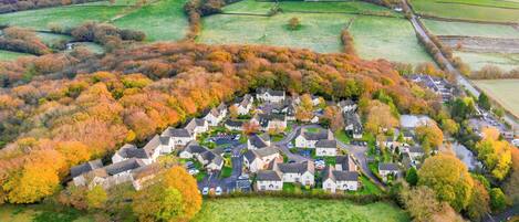 An aerial view of a residential area with houses surrounded by autumn foliage.