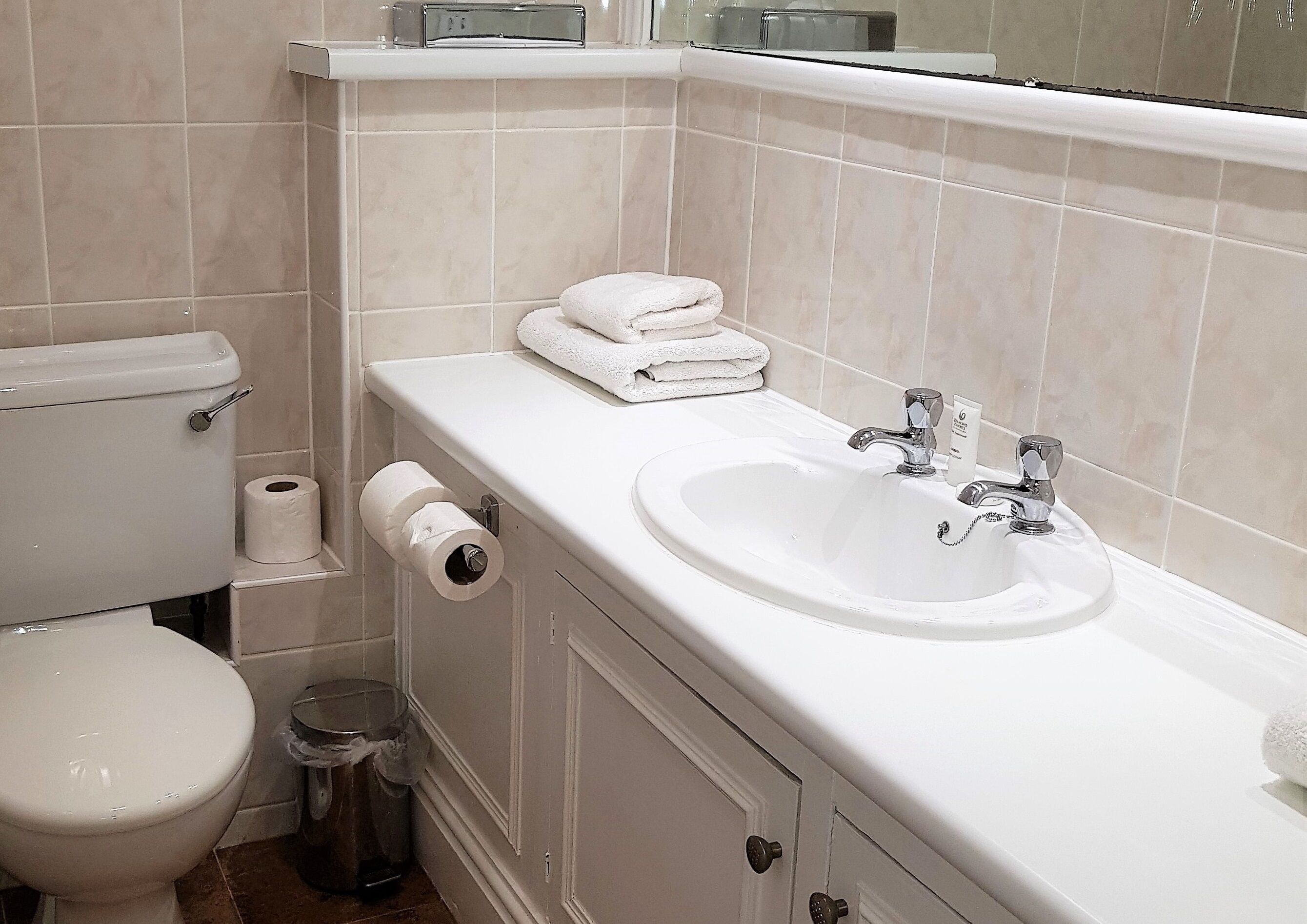 Un baño con inodoro, lavamanos y cubo de basura.