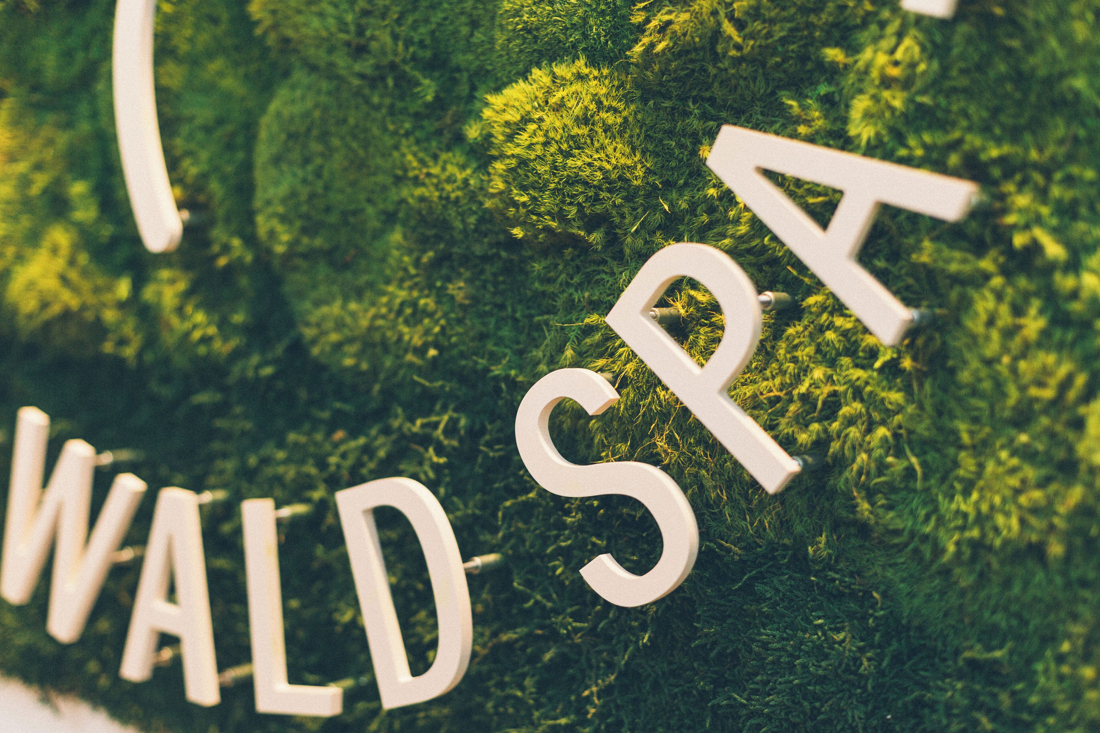 A sign with the words "WALD SPA" on a moss-covered surface.