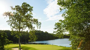 Un campo da golf con una distesa d'acqua sullo sfondo e una vegetazione rigogliosa.