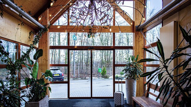 A wooden interior with large windows, a bench, and potted plants.