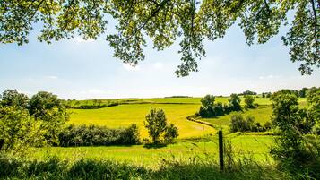 A rural landscape with rolling green fields, trees, and a clear sky.