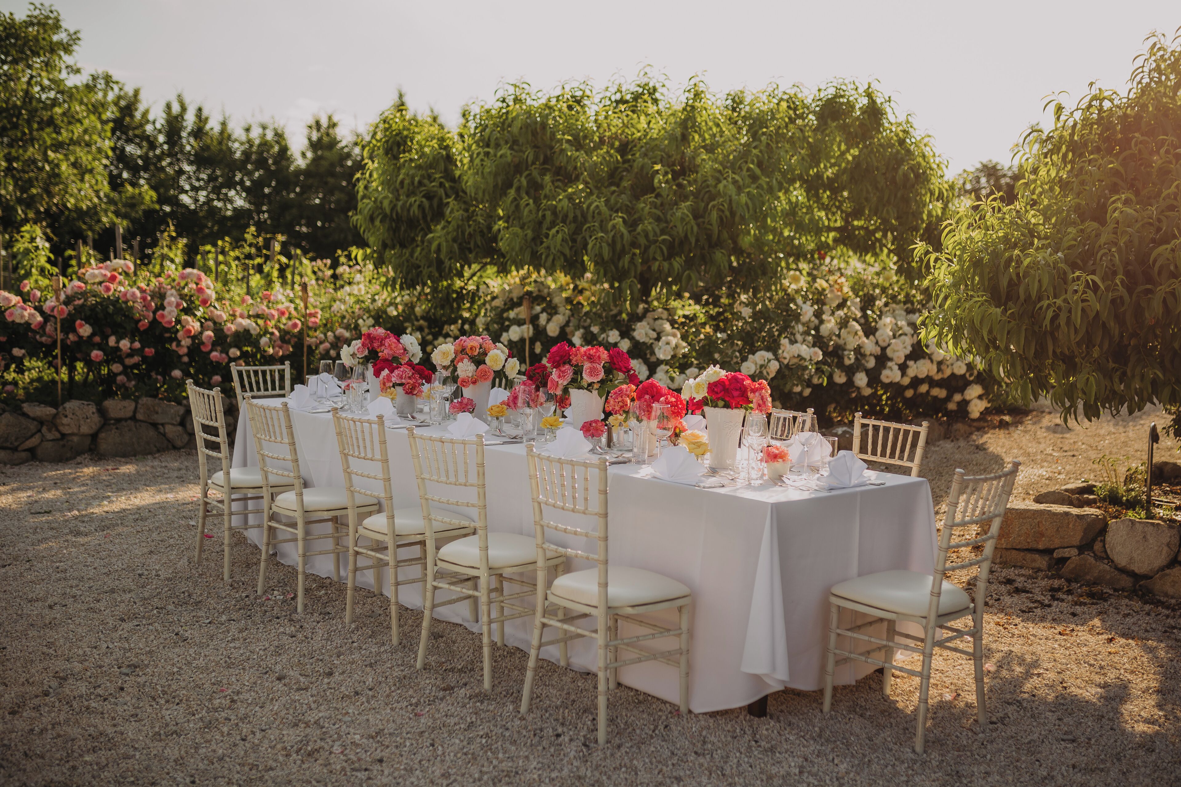 lunch and dinner served, regional cuisine