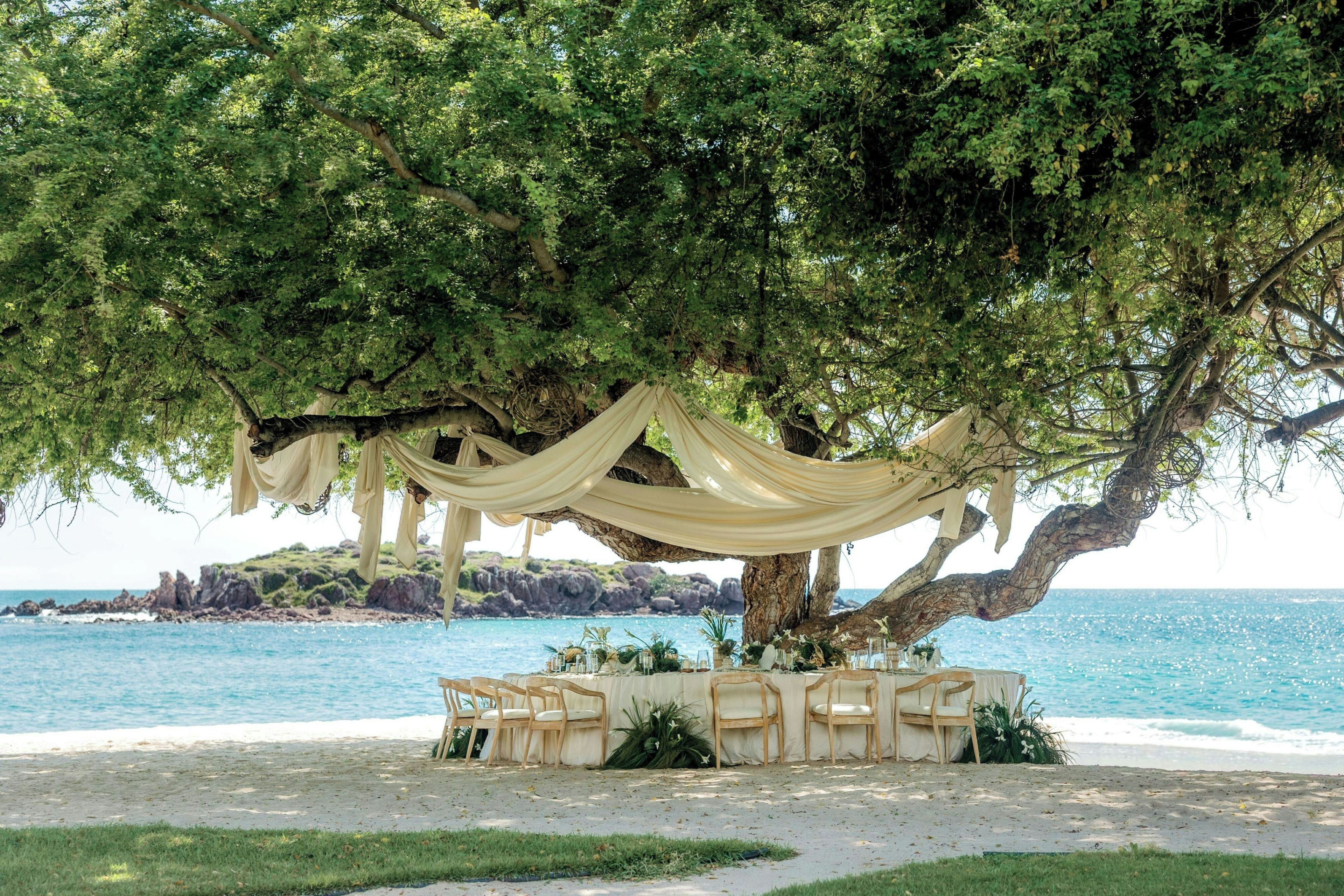 Une cérémonie de mariage organisée sur la plage, avec une table placée sous un grand arbre, des chaises et une vue sur la mer.