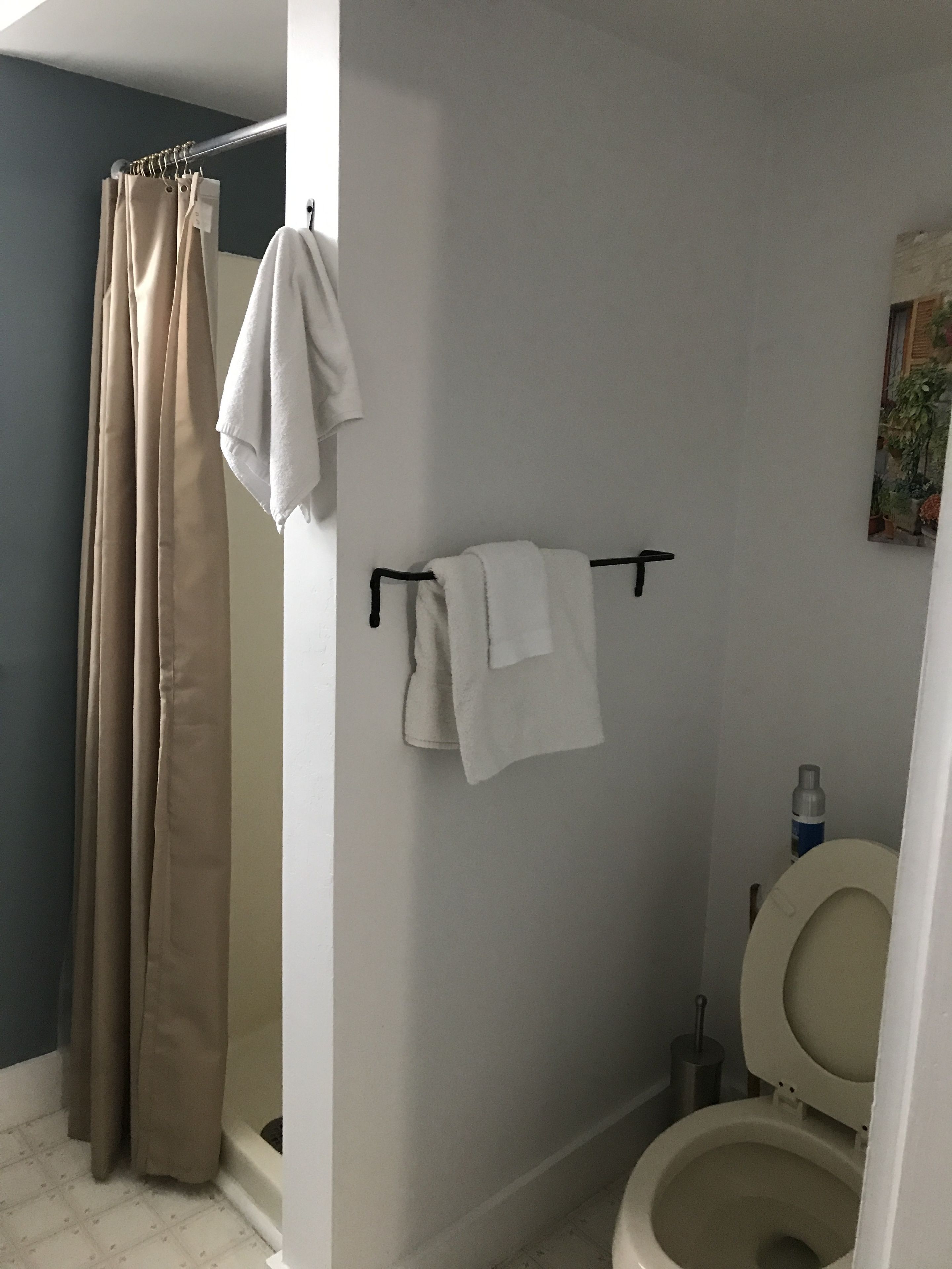 A bathroom with a shower curtain, a toilet, and a towel rack with two towels.