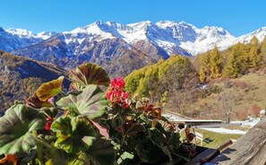 Un paisaje montañoso con picos nevados al fondo y un primer plano de follaje verde y flores rojas.