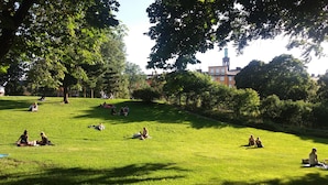 Grill-/piknikområde