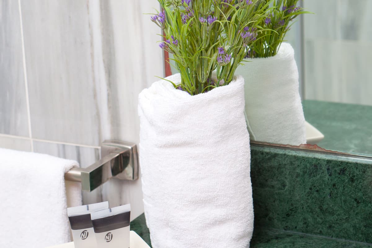 double or twin room | bathroom amenities | free toiletries, hair dryer, towels