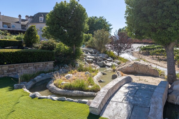 Un jardín ajardinado con un estanque, bordes de piedra y una diversidad de plantas.