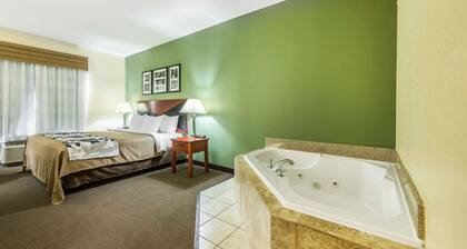 Sleep Inn & Suites University/Shands