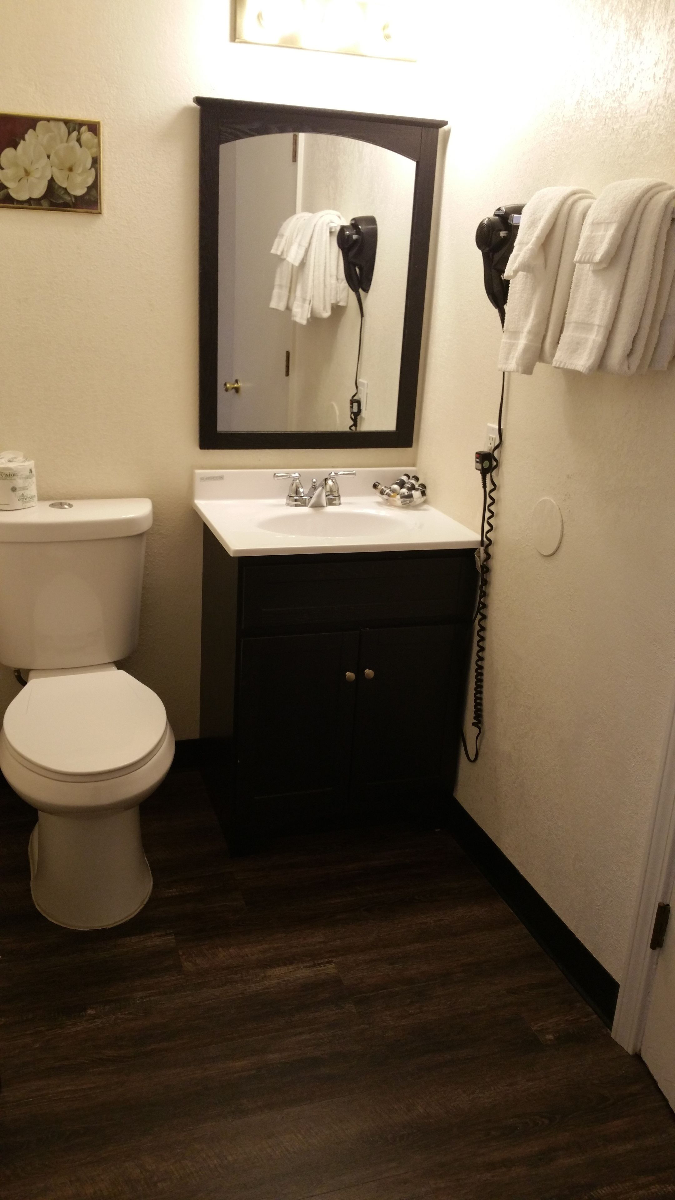 A bathroom with a toilet, sink, and a hairdryer on a wall-mounted stand.