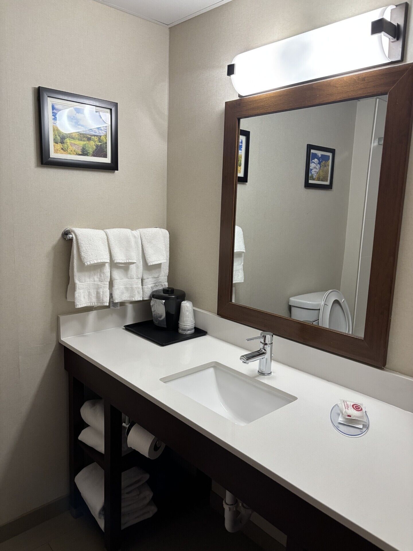 A bathroom with a white sink, a large mirror, and two framed pictures on the wall.