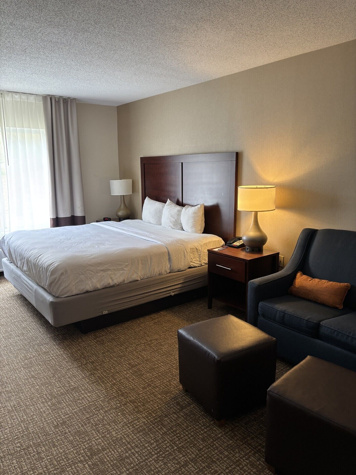 Suite, 1 King Bed with Sofa bed, Non Smoking (Efficiency) | Premium bedding, desk, iron/ironing board, rollaway beds