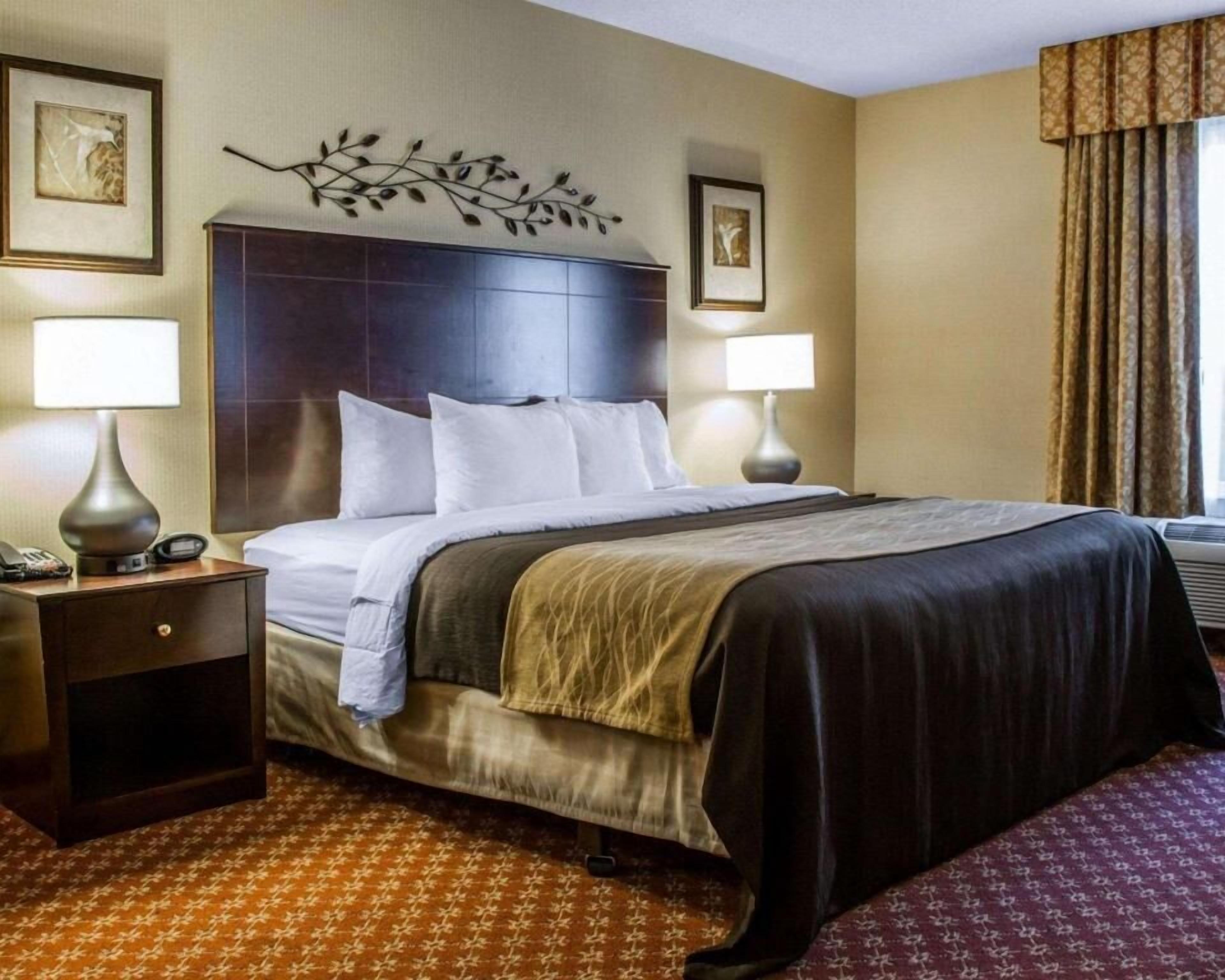 Premium bedding, desk, iron/ironing board, rollaway beds