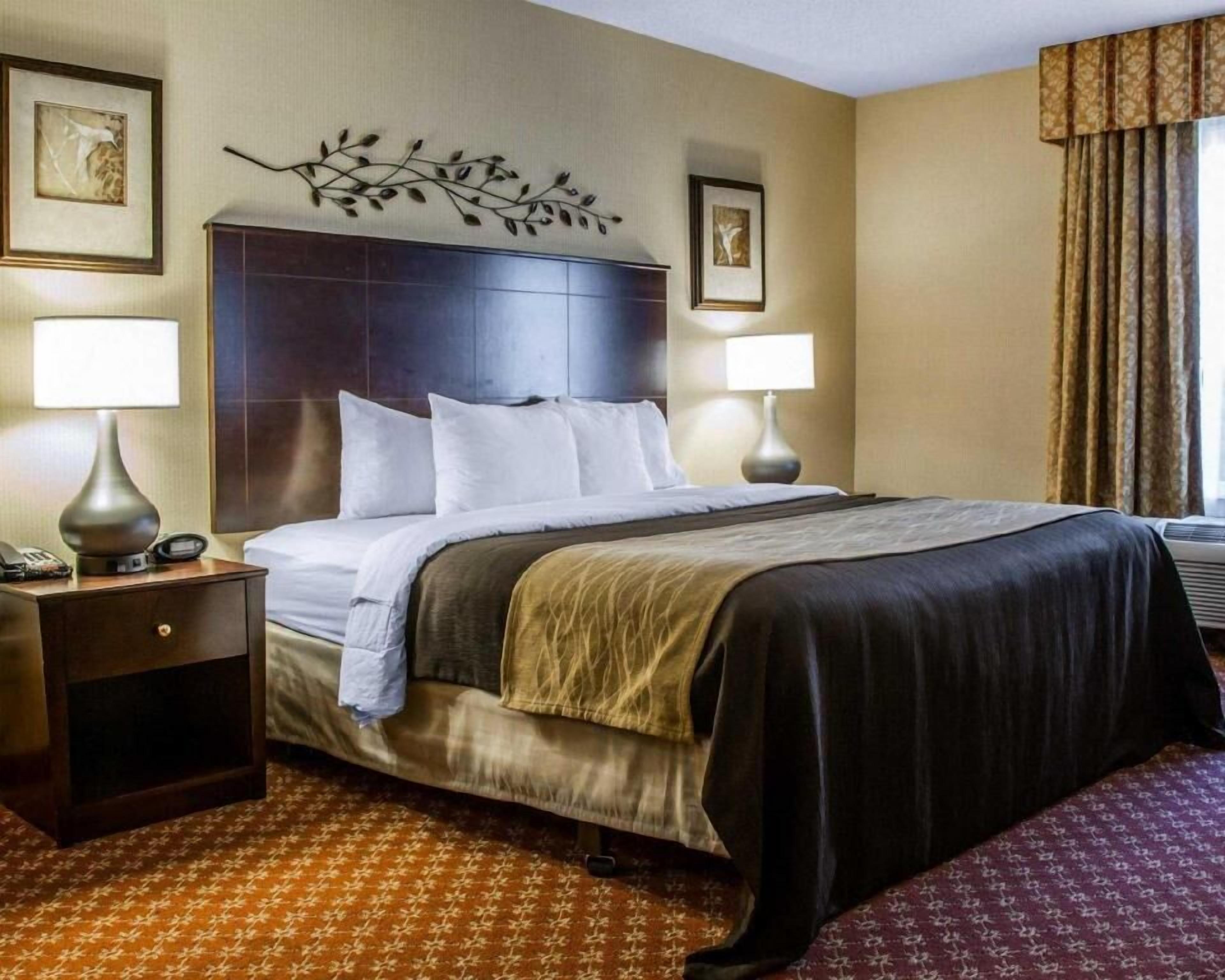 Premium bedding, desk, iron/ironing board, rollaway beds