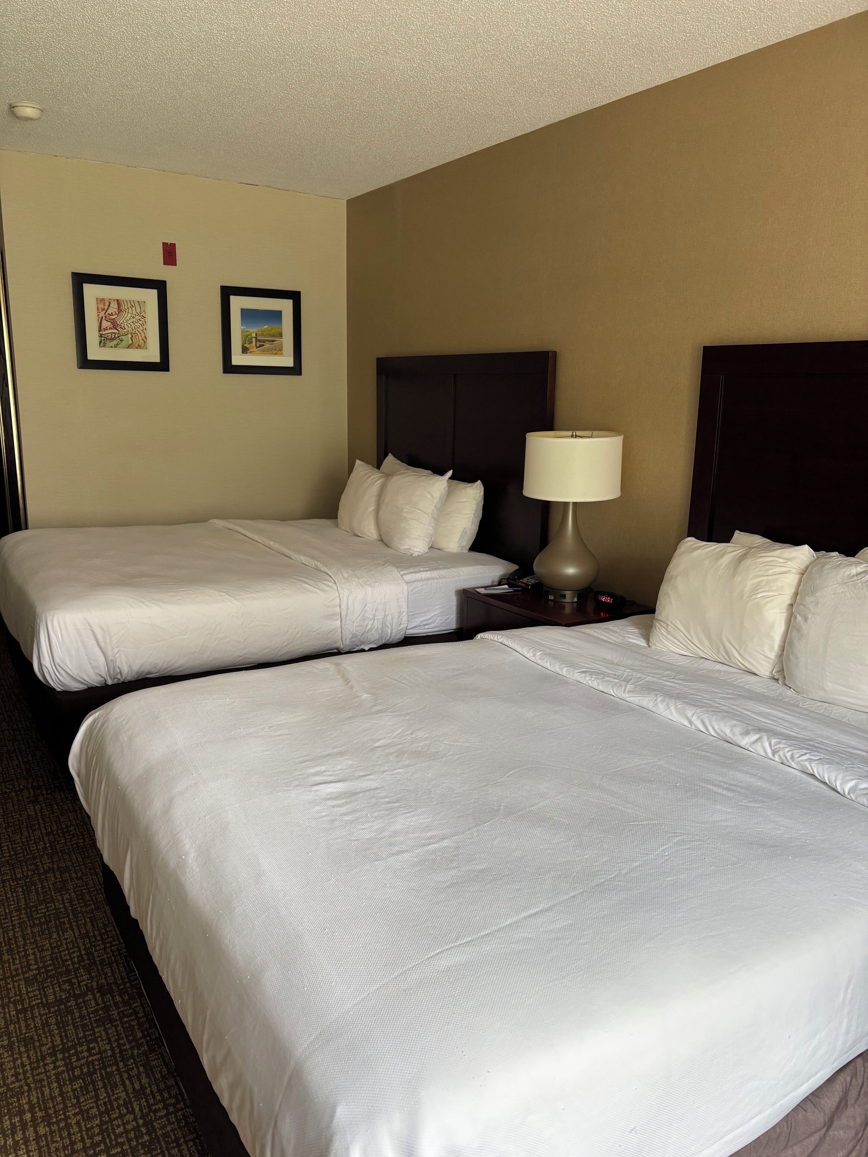 Standard Room, 2 Queen Beds, Non Smoking | Premium bedding, desk, iron/ironing board, rollaway beds