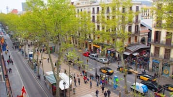 Vista da propriedade