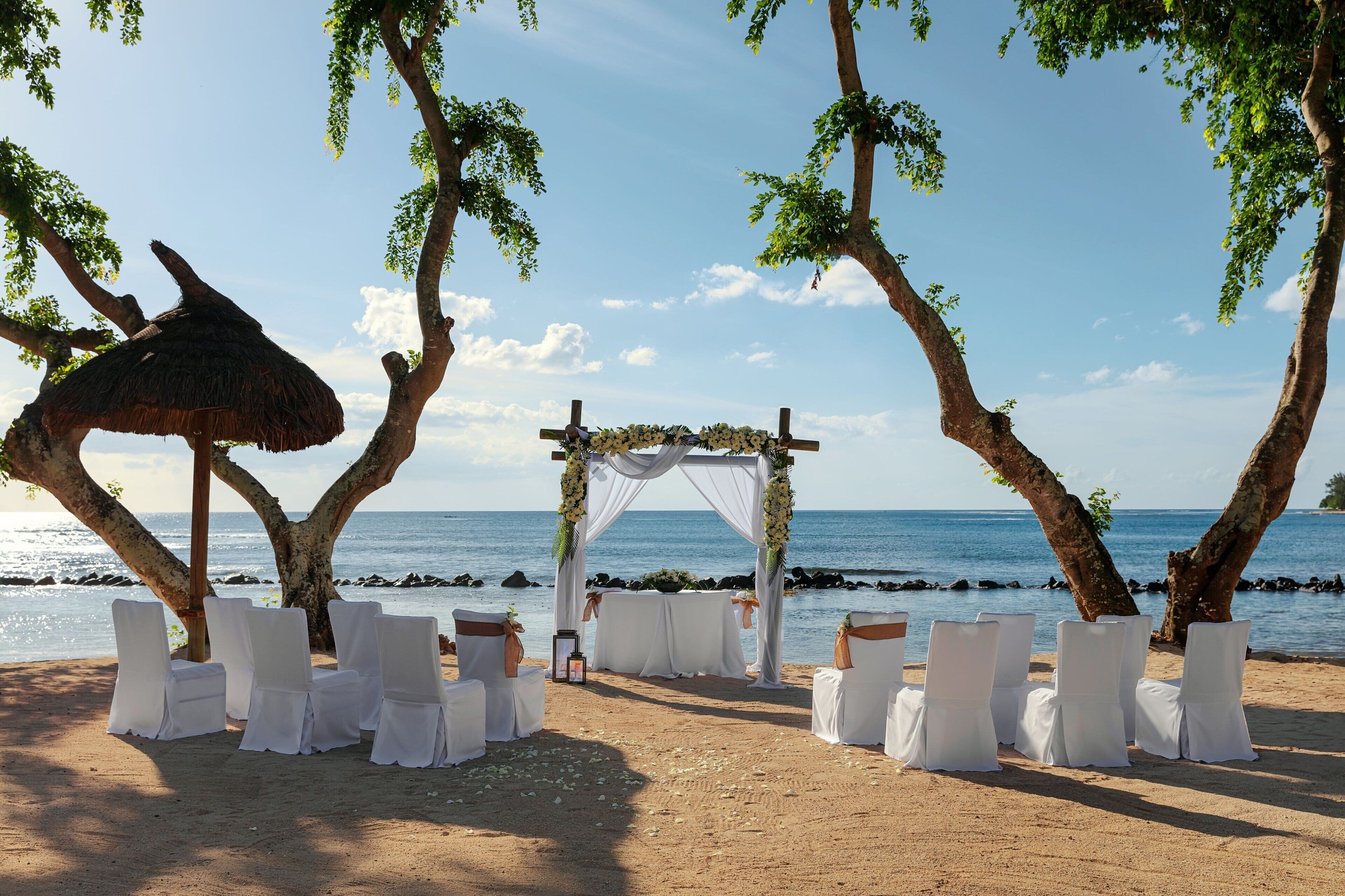 A beach wedding setup with white chairs and a canopy, surrounded by trees and overlooking the sea.