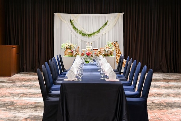 Birthday party area