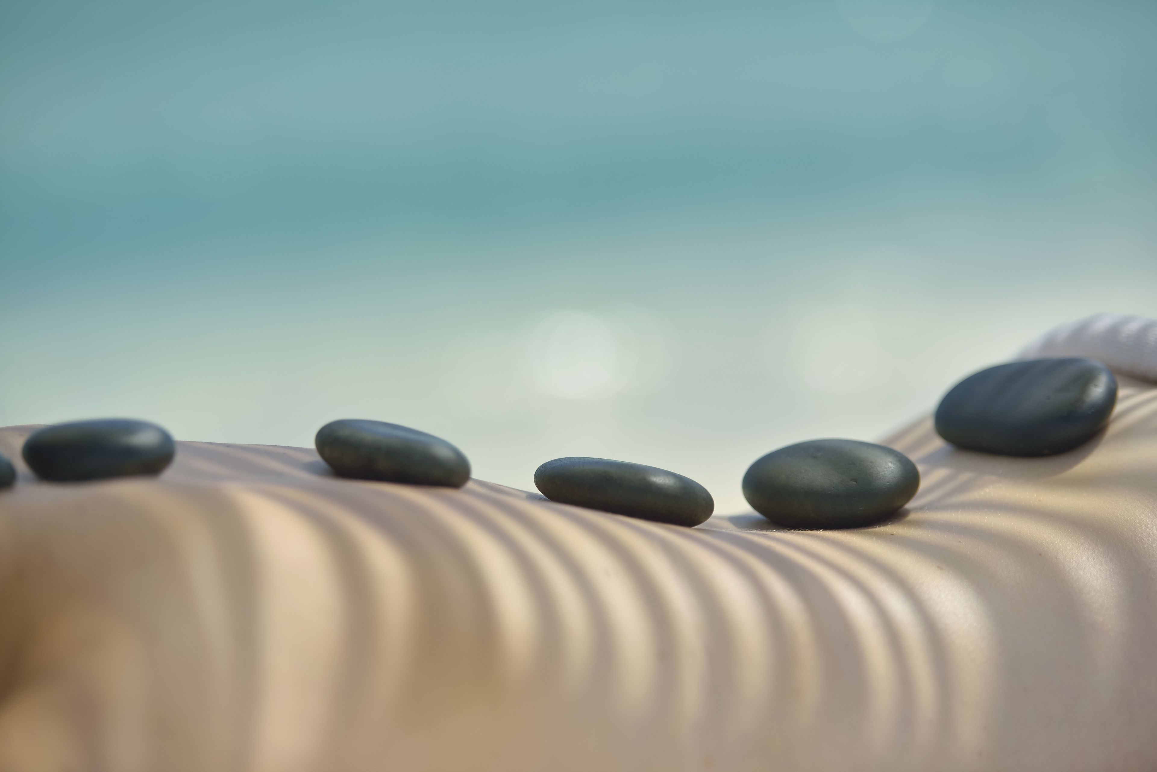 A close-up of smooth, curved surfaces with several smooth, oval-shaped objects placed on them.