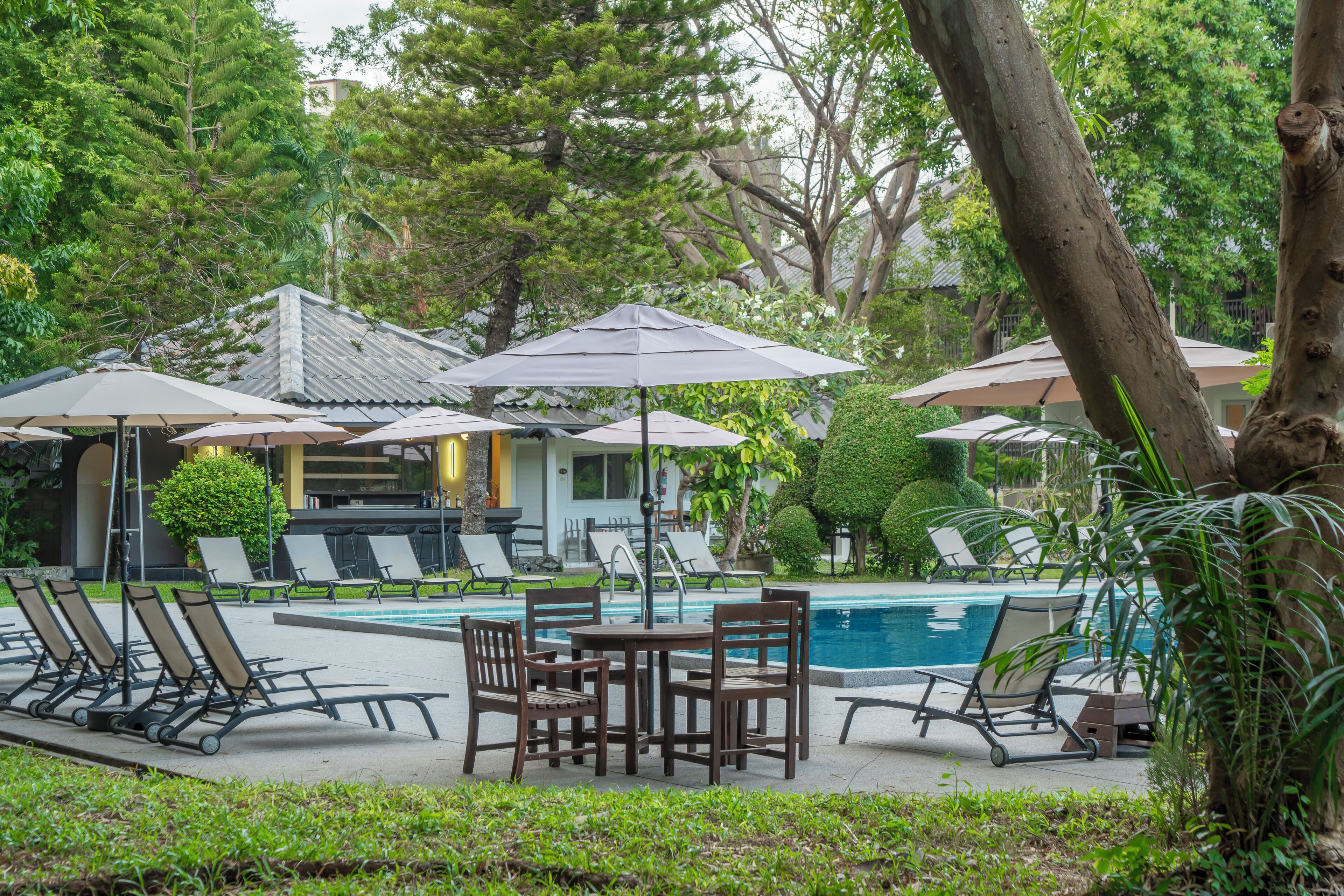 A poolside area with lounge chairs and umbrellas, surrounded by lush greenery and a building with a tiled roof.