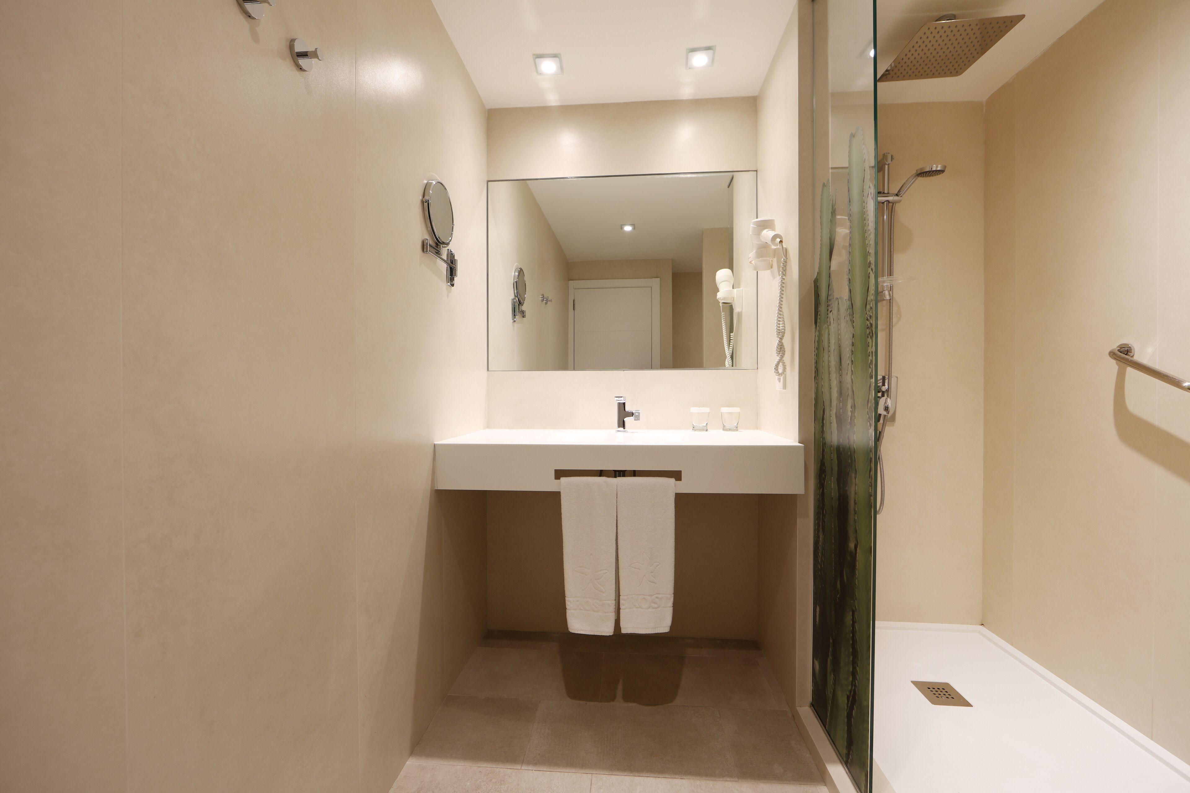 A modern bathroom with a glass shower enclosure, a white sink, and a large mirror.