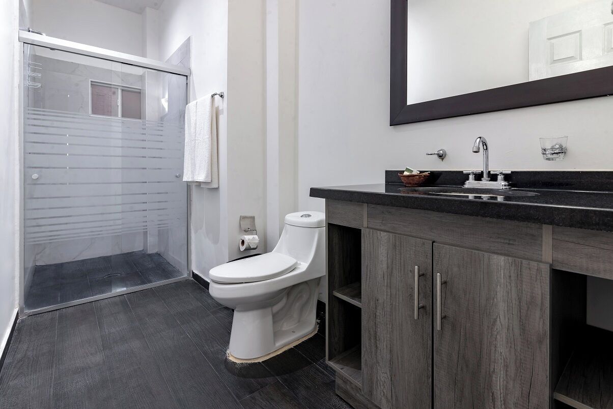 A modern bathroom with a glass shower enclosure, a white toilet, and a dark wood vanity with a mirror.