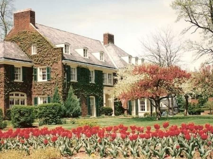 Área da propriedade