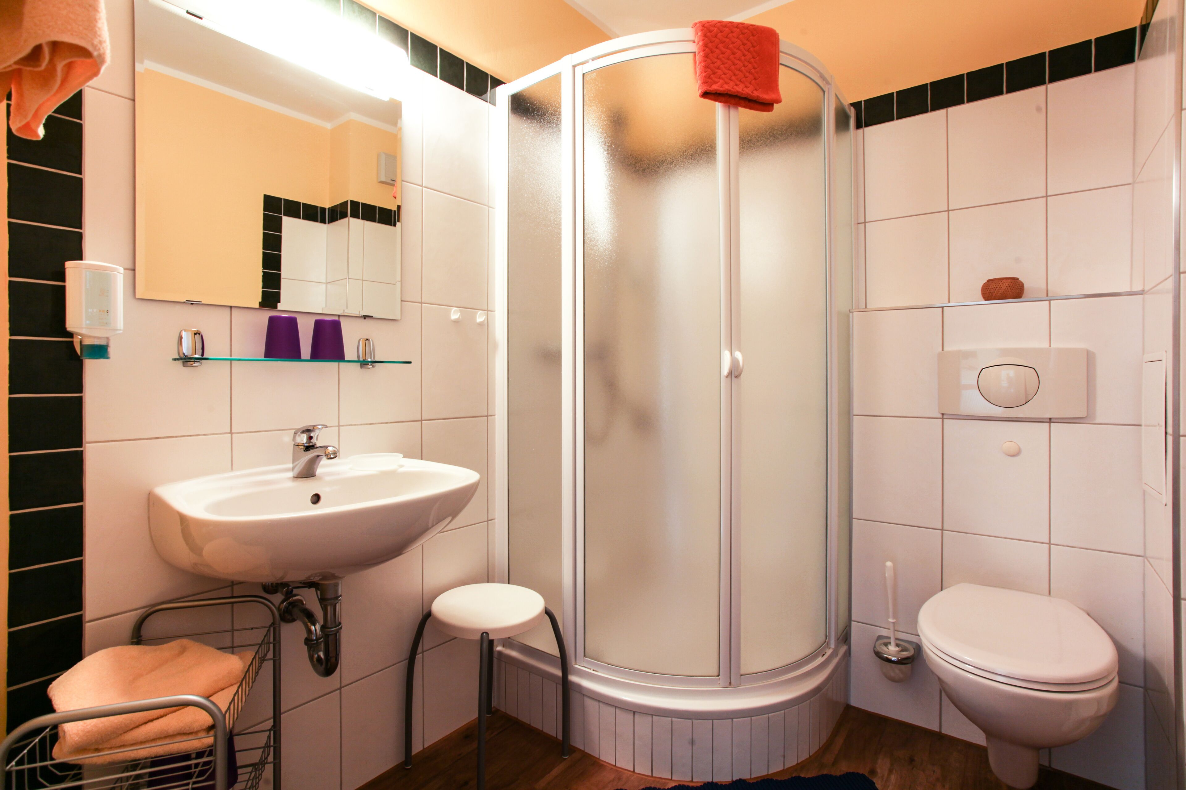 Een badkamer met een douche met glazen wand, een wastafel, toilet en spiegel.