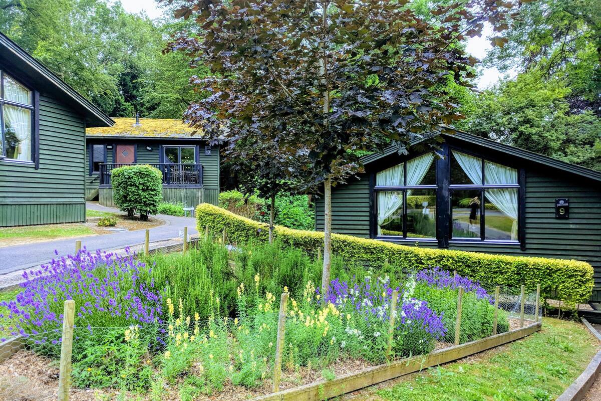 room, 2 bedrooms, kitchen, garden area (woodland lodge) | 1 bedroom, in-room safe, individually decorated, desk