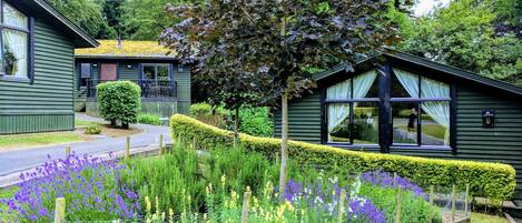 A green building with a small porch and a well-maintained garden with various plants and flowers.