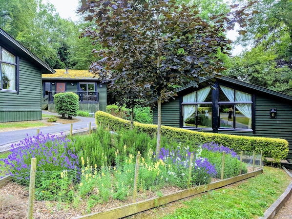 Room, 2 Bedrooms, Kitchen, Garden Area (Woodland Lodge)