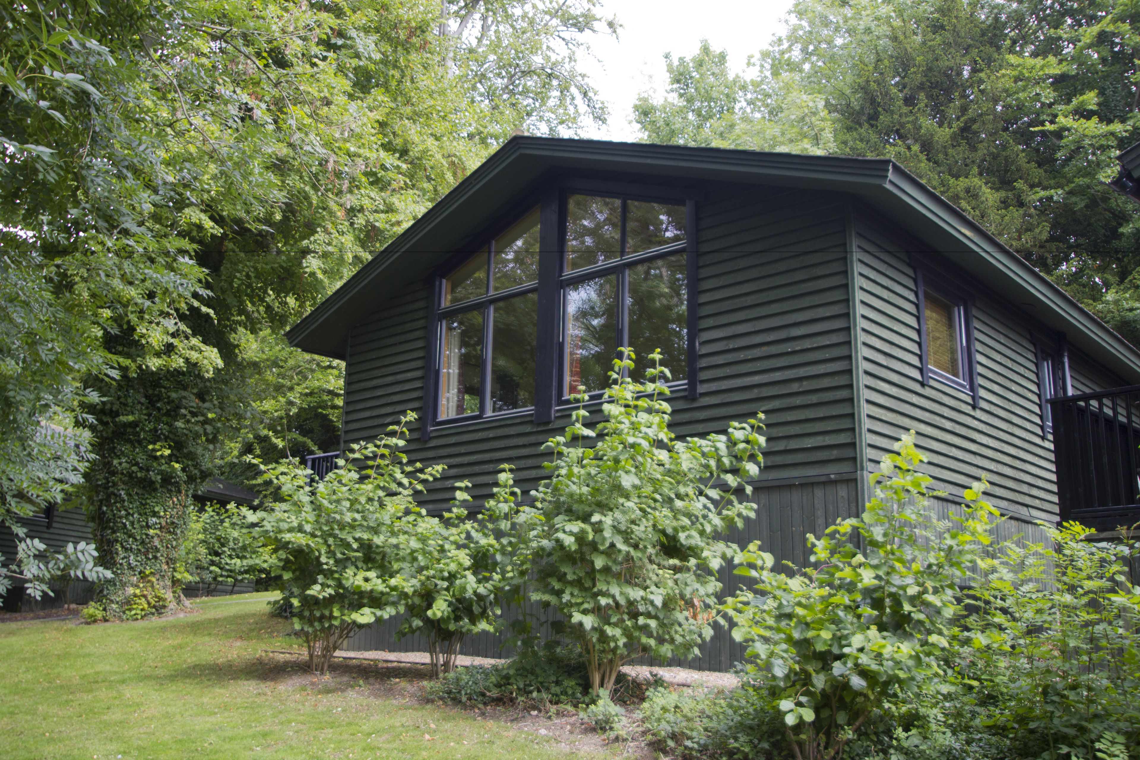 A green wooden house with large windows and a sloped roof, surrounded by lush greenery and trees.