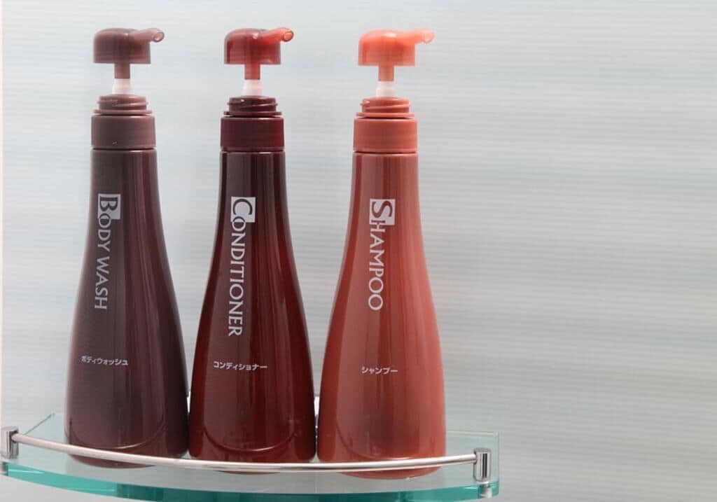 combined shower/bathtub, free toiletries, hair dryer, slippers