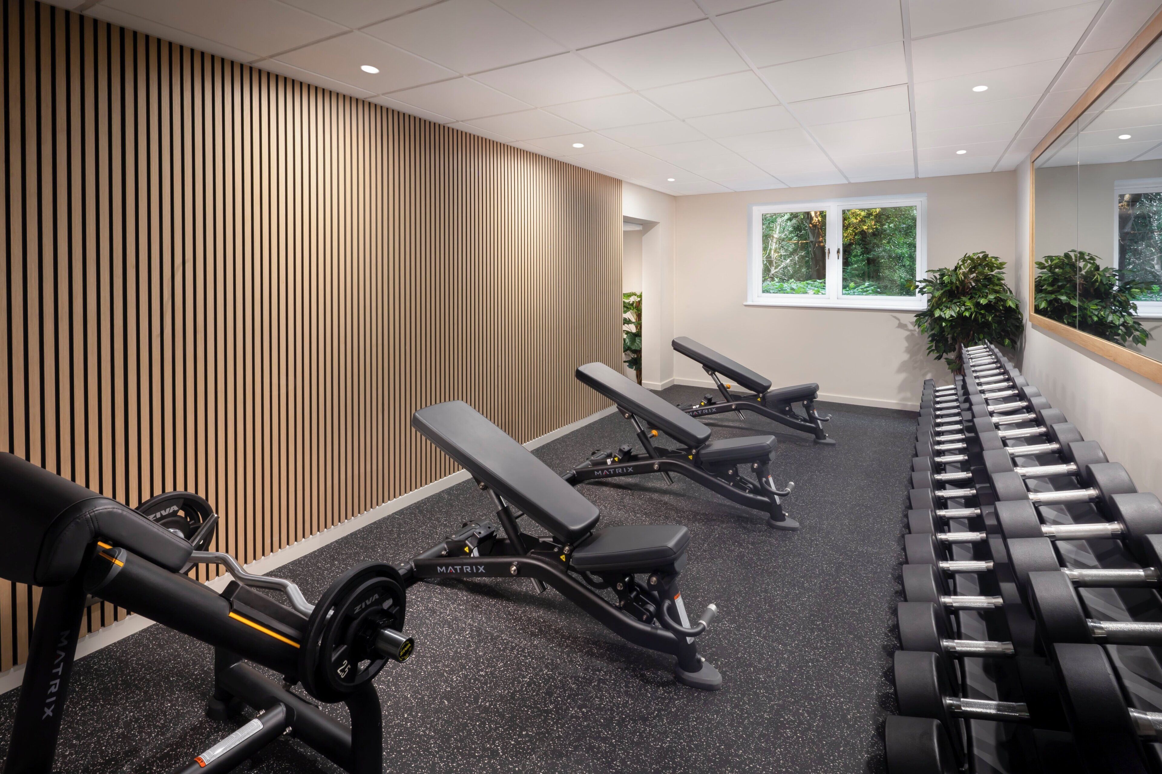 Un gimnasio con bancos, mancuernas y equipo de ejercicio.