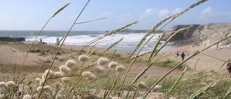 Beach nearby, white sand