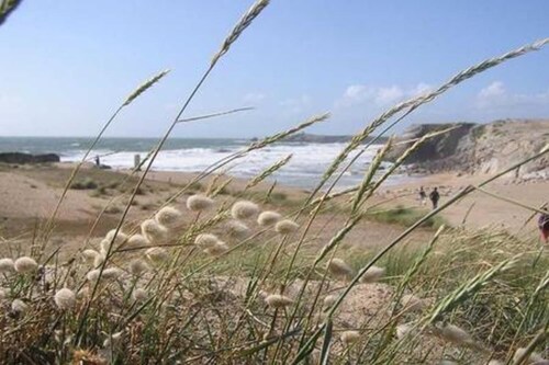 Hôtel du Cheval Blanc