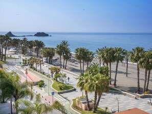 Vista desde la propiedad