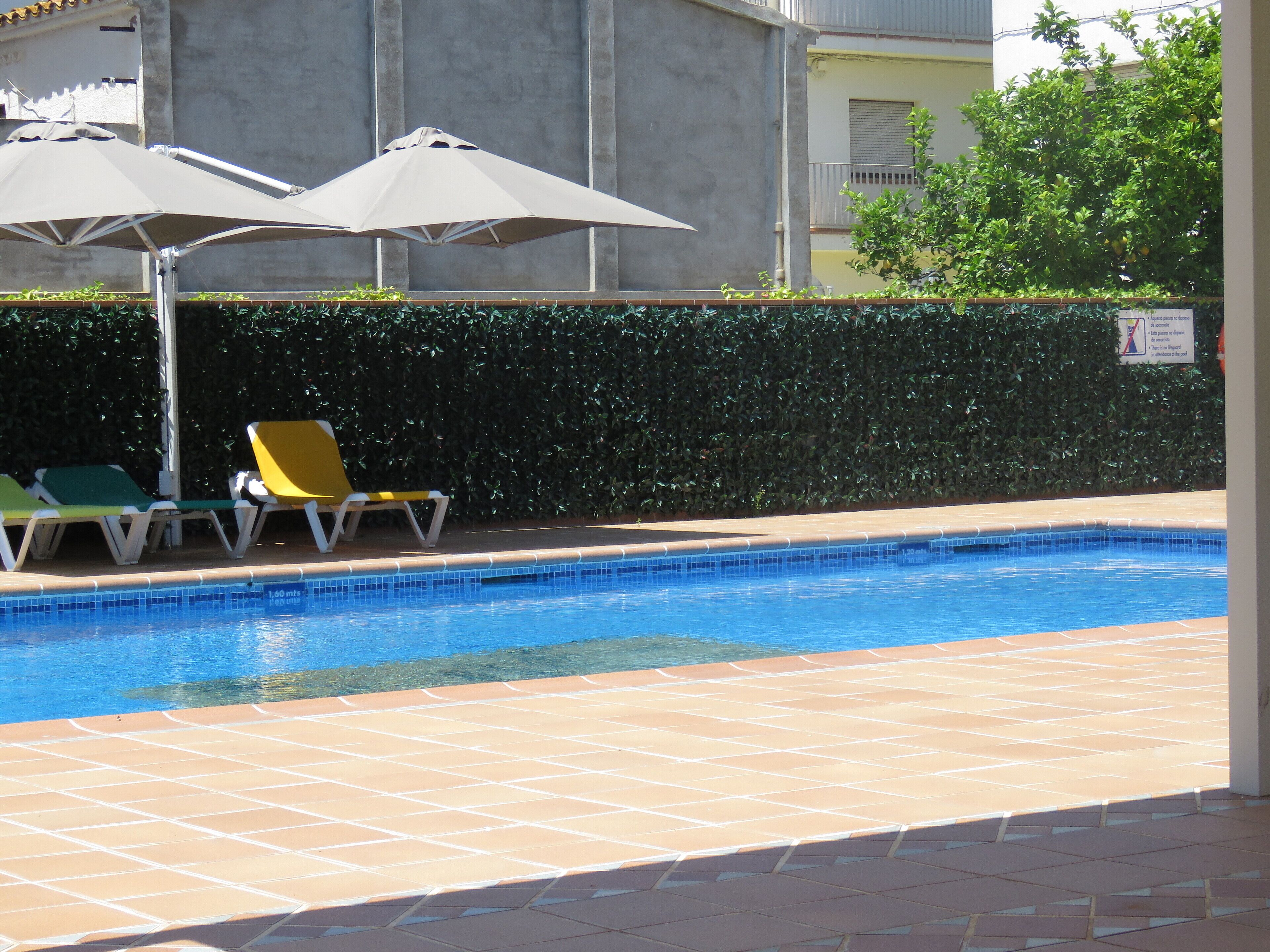 Piscina com bordas azulejadas, espreguiçadeiras e guarda-sóis.