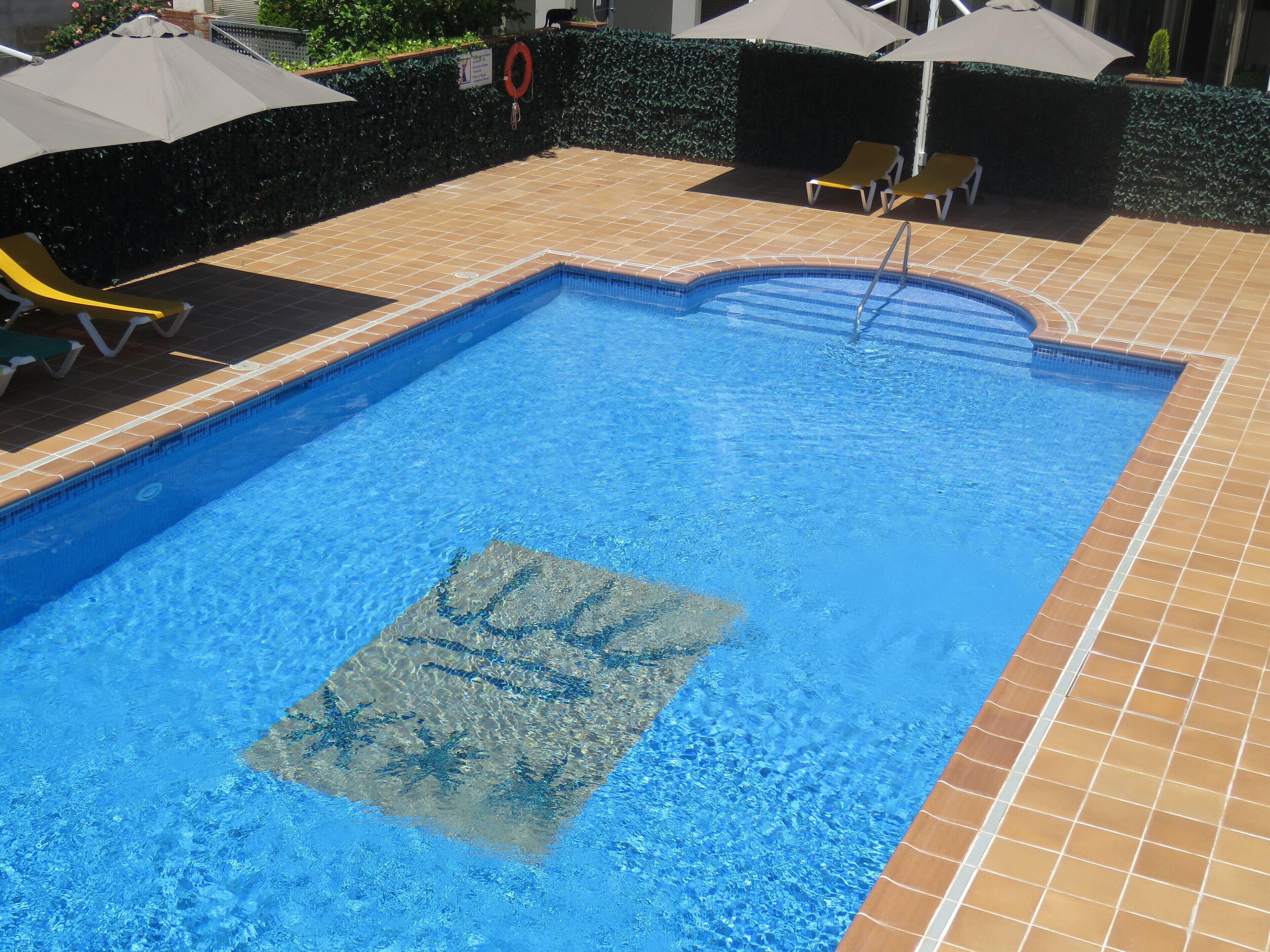 A rectangular swimming pool with a tiled edge, surrounded by a tiled deck area.