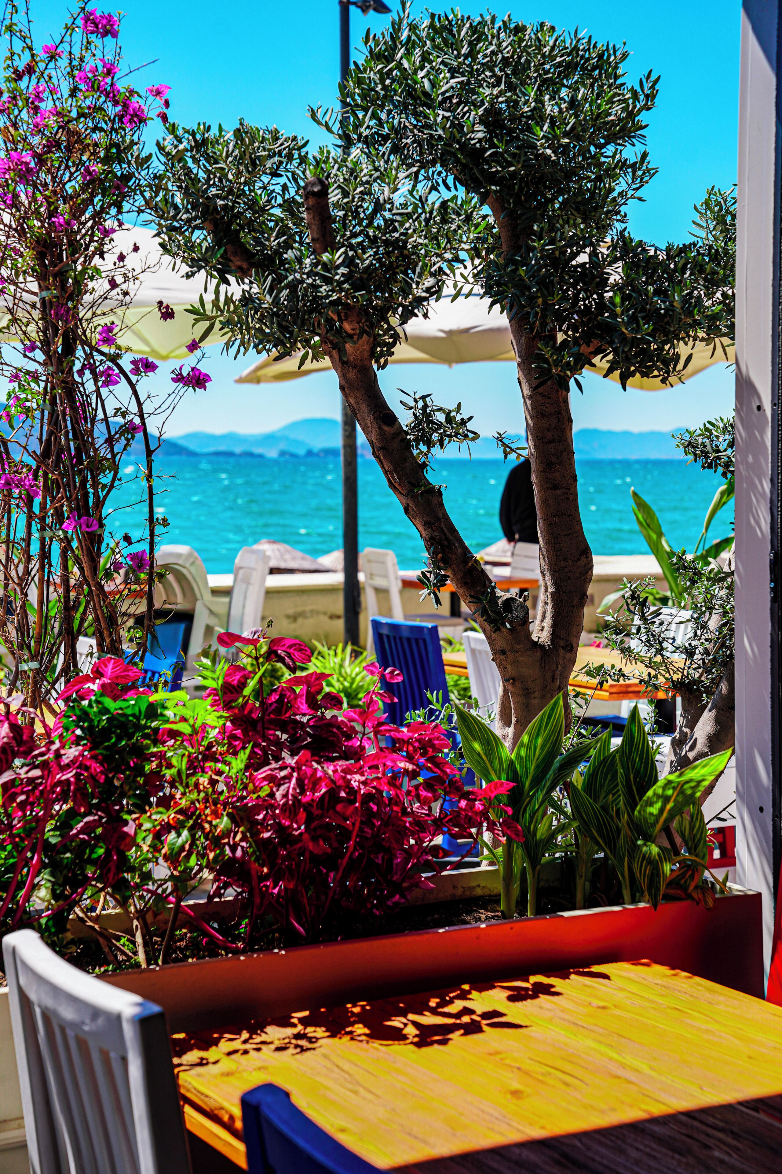 Photo - Hotel Delta