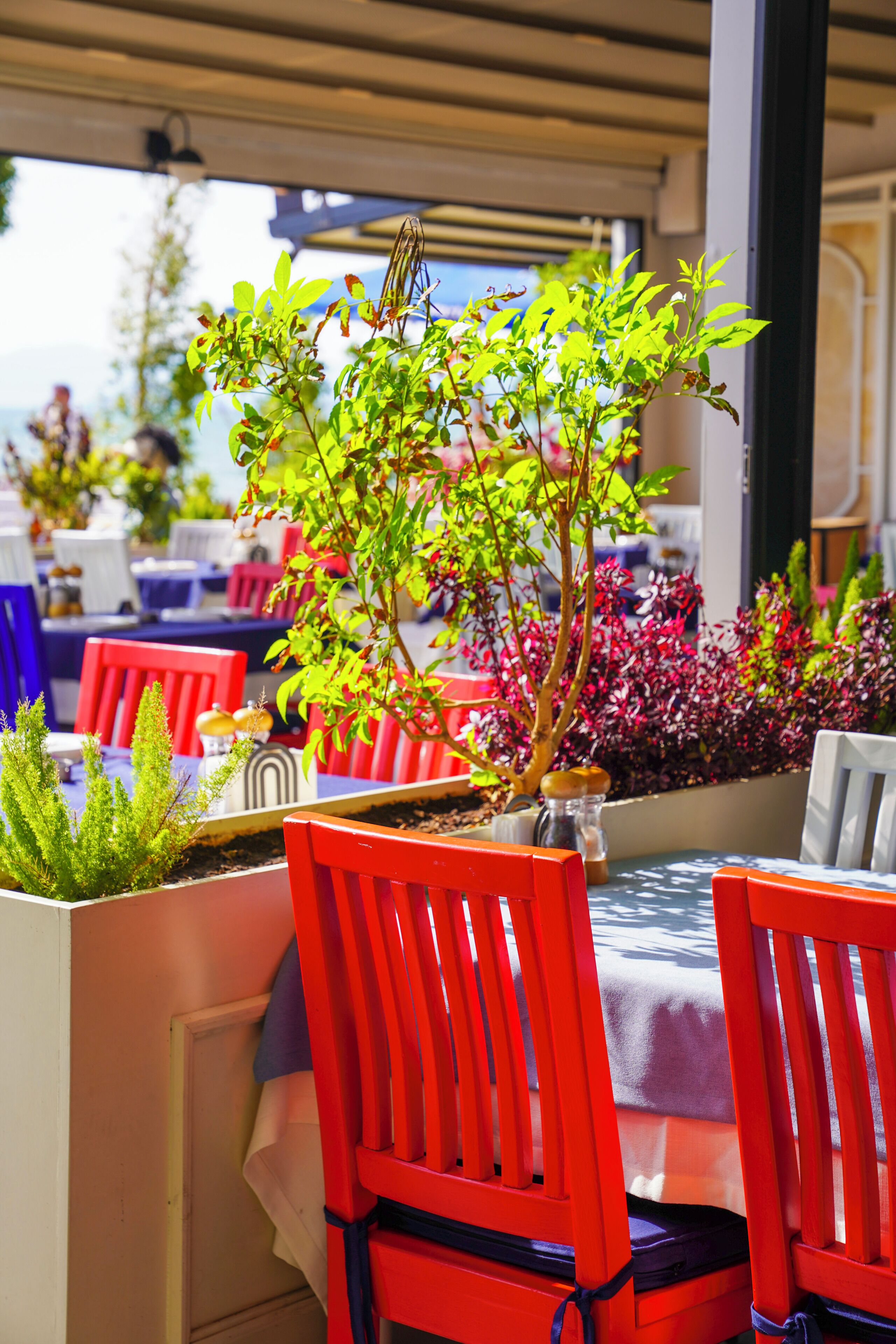 A restaurant with red chairs, a table, and a potted plant.