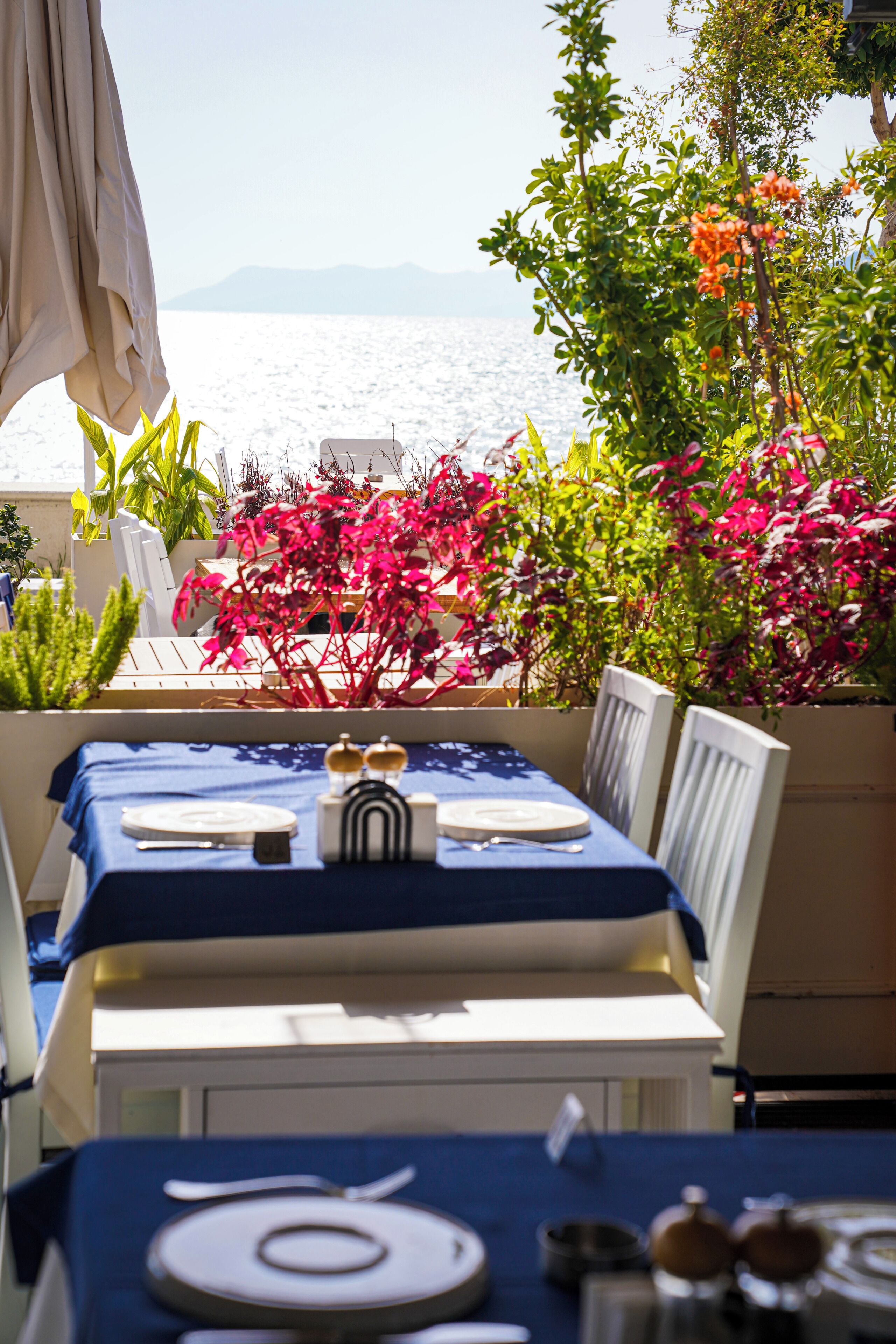 Mesa para dos con vista al mar, rodeada de plantas y una silla blanca.
