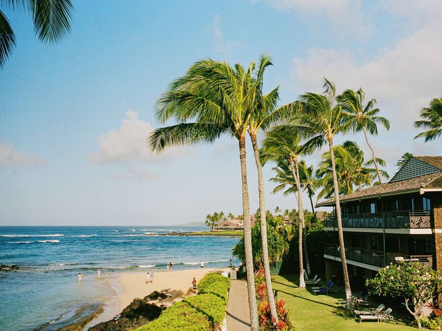 A beachfront hotel with a pool, palm trees, and ocean views.