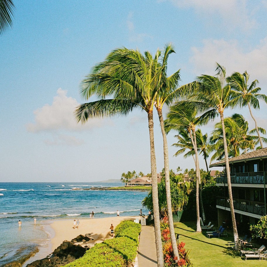 A beachfront hotel with a pool, palm trees, and ocean views.