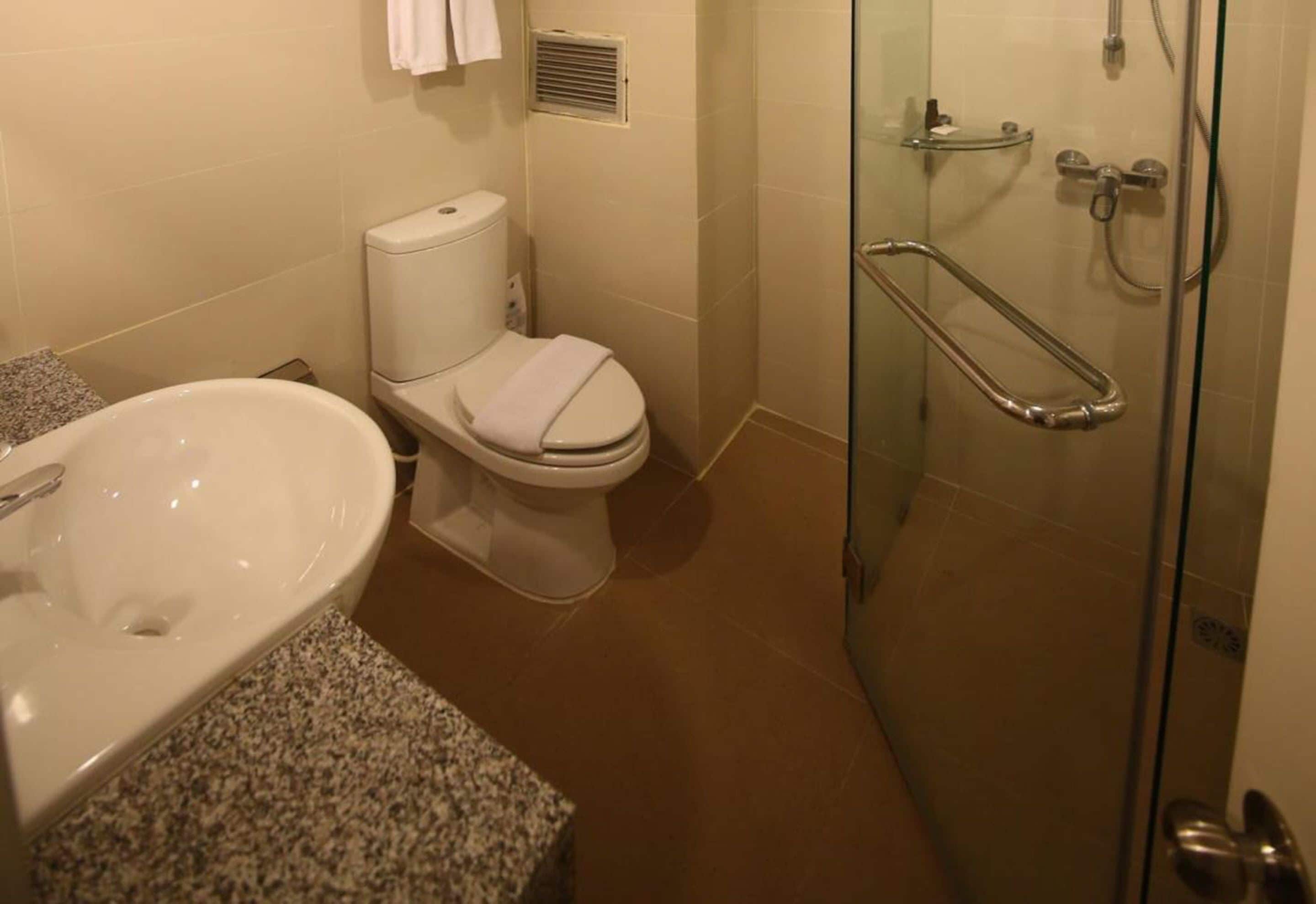 A bathroom with a white toilet, a glass-enclosed shower with a handrail, and a granite countertop with a sink.