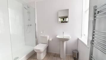 A modern bathroom with a glass-enclosed shower, a white toilet, a pedestal sink, and a mirror above the sink.